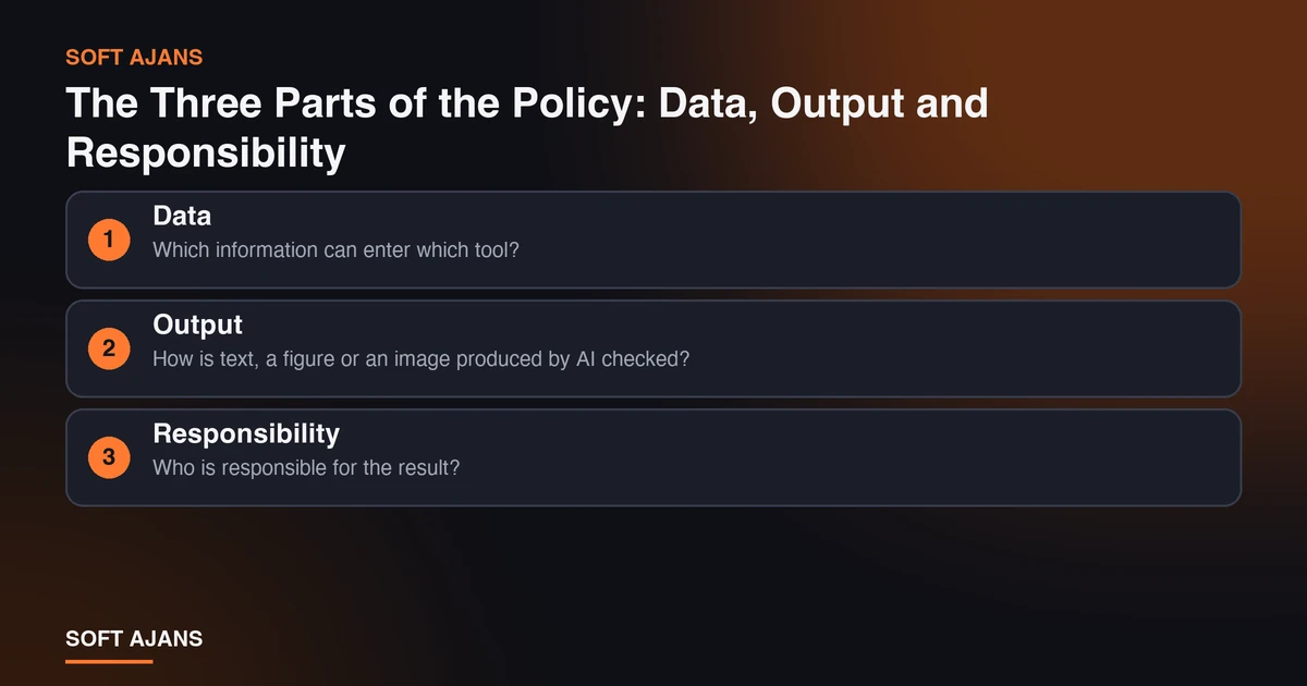 The Three Parts of the Policy: Data, Output and Responsibility