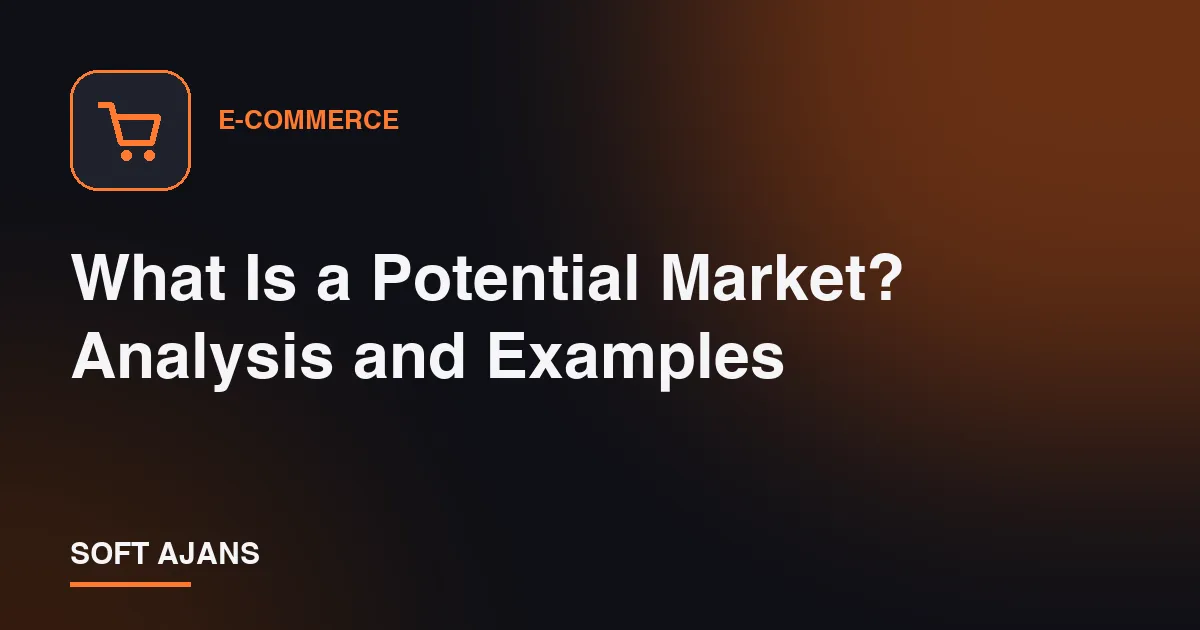 What Is a Potential Market? Analysis and Examples