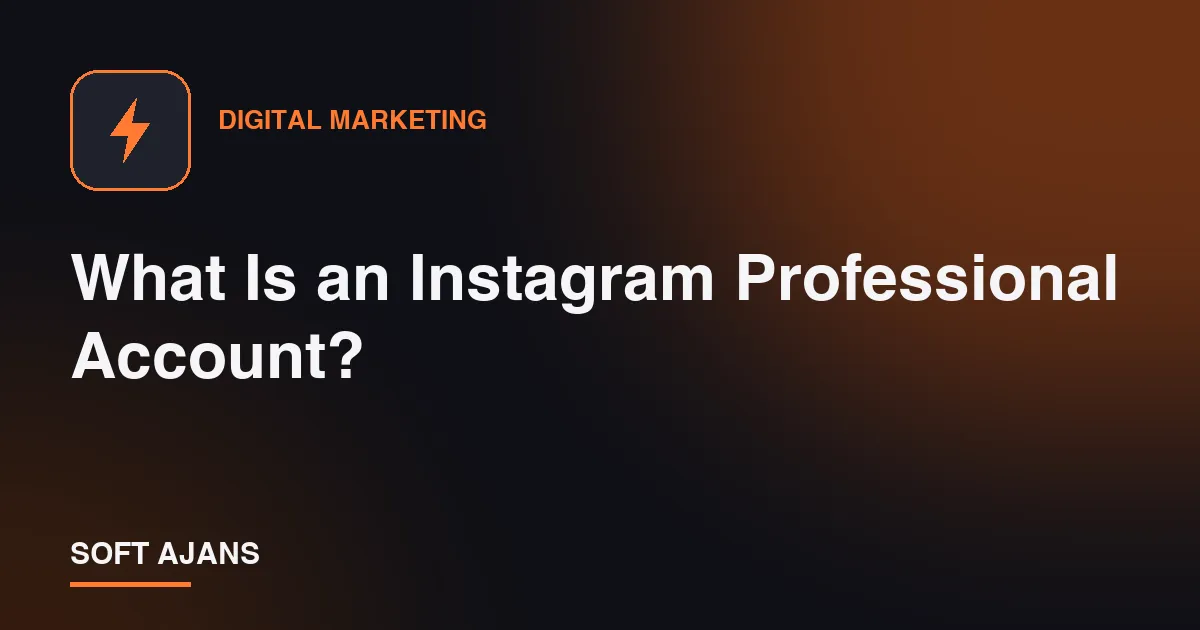 What Is an Instagram Professional Account?