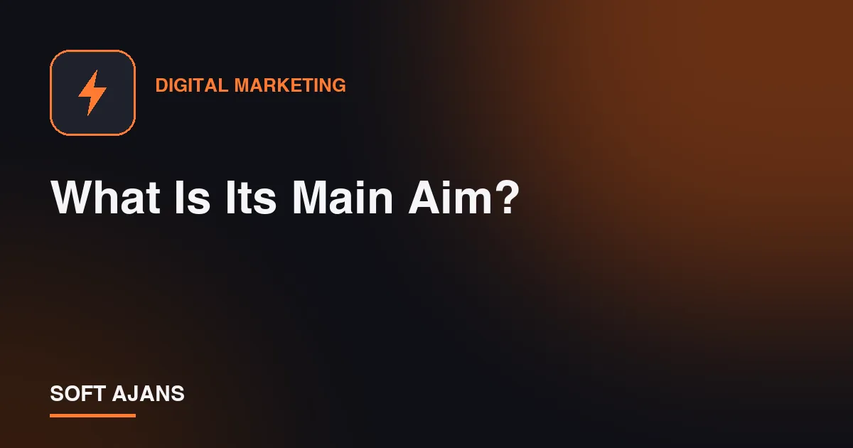 What Is Its Main Aim?