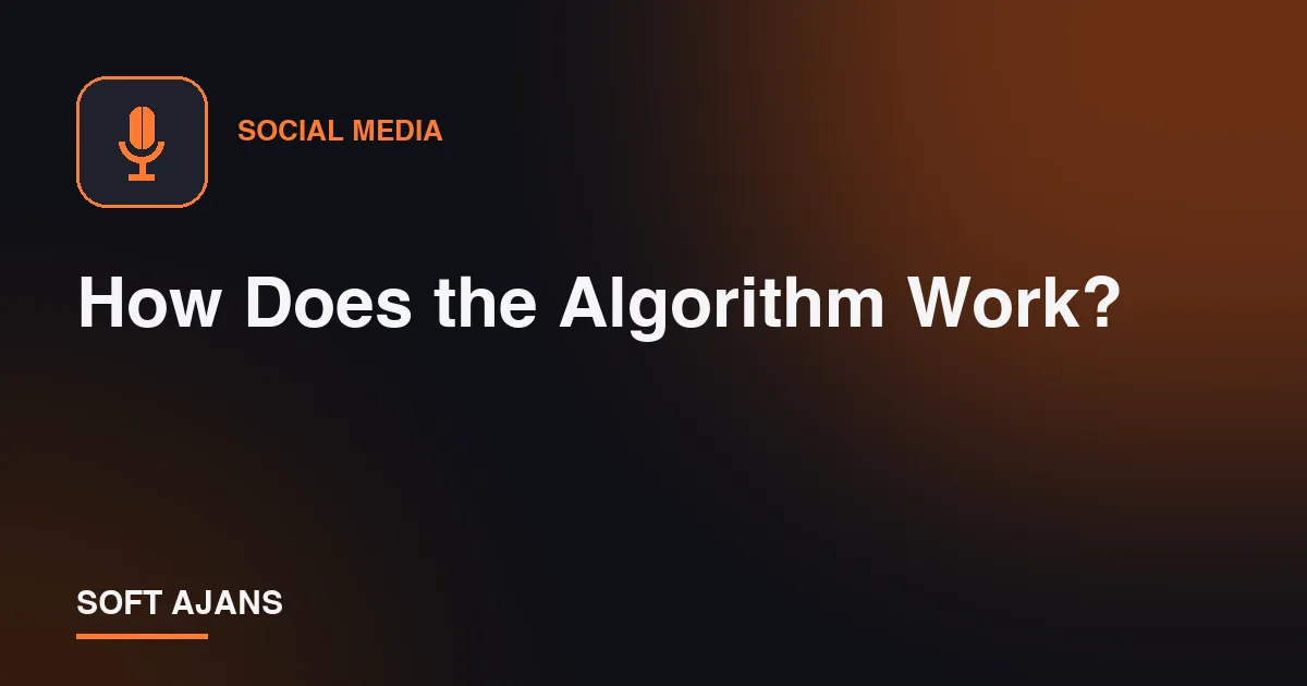 How Does the Algorithm Work?