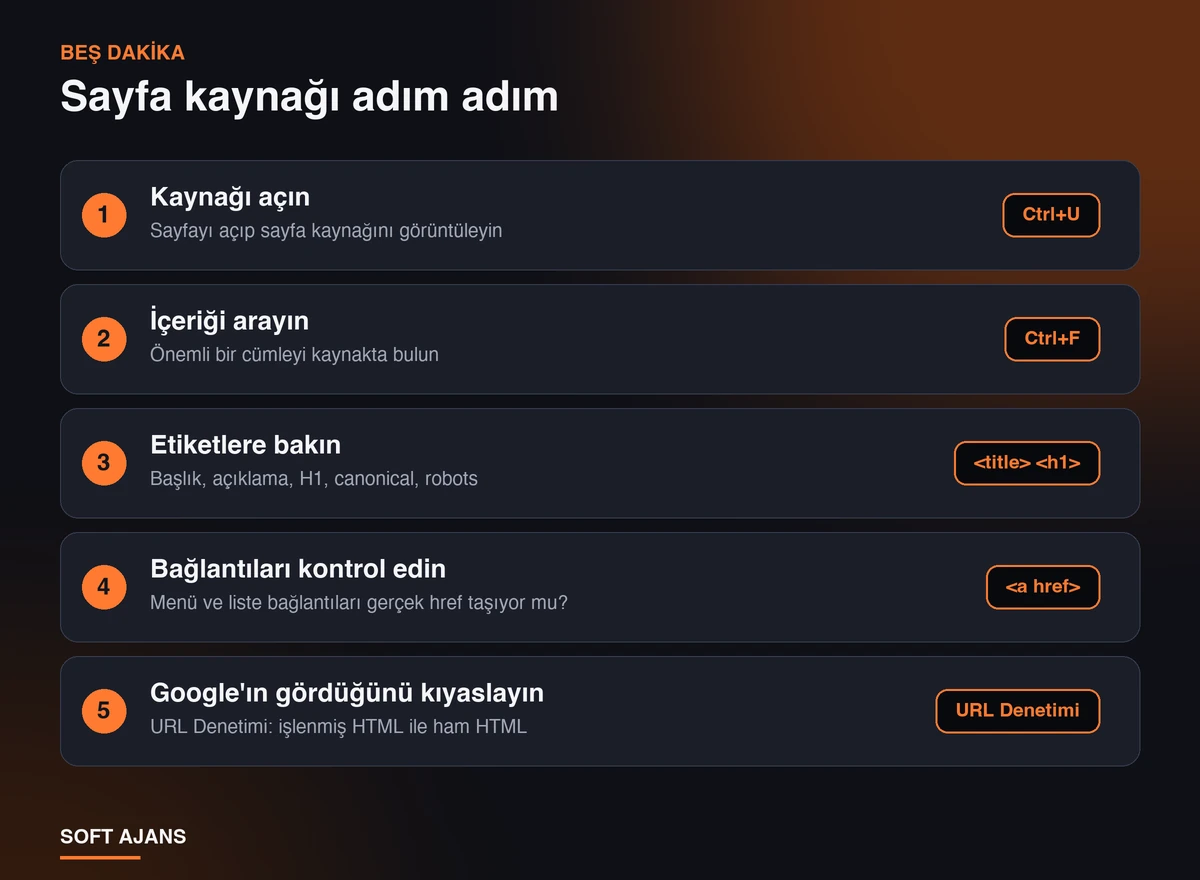5 Dakikada Kontrol: Sayfa Kaynağı Adım Adım