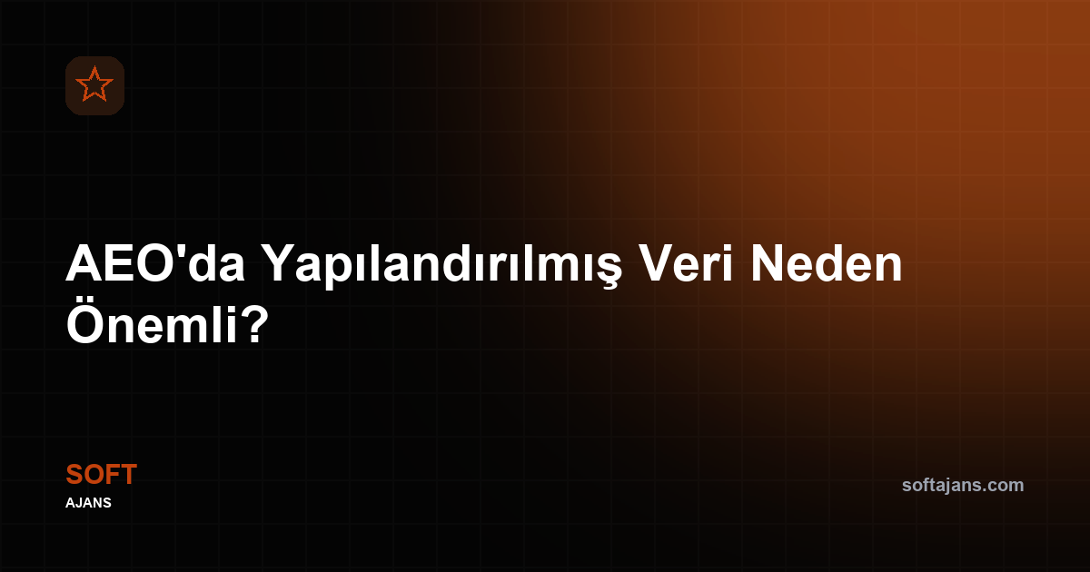 AEO'da yapılandırılmış veri neden önemli