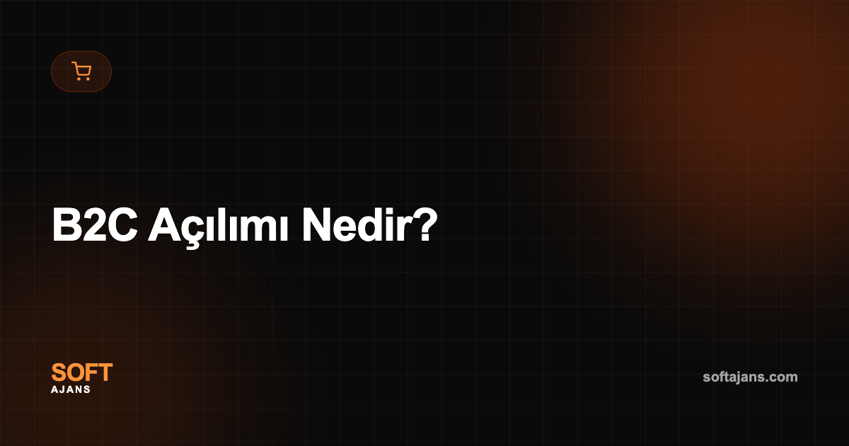 B2C Açılımı Nedir?