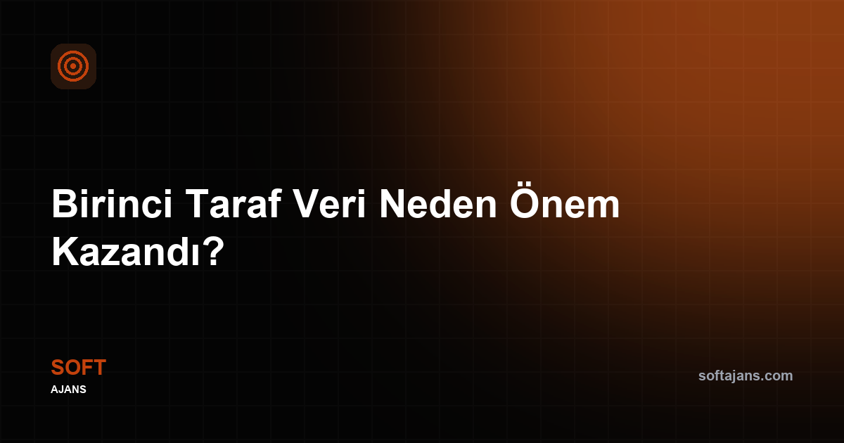 Birinci taraf veri nedir