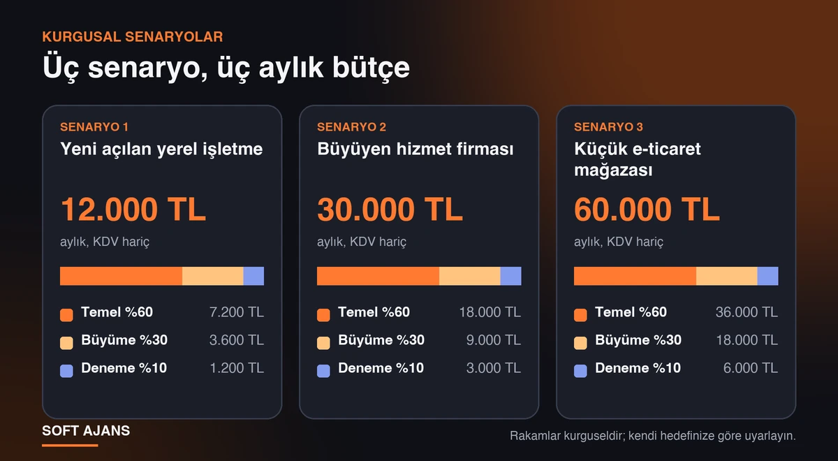 Üç kurgusal senaryonun aylık bütçesi ve temel, büyüme, deneme dağılımı: 12.000, 30.000 ve 60.000 TL