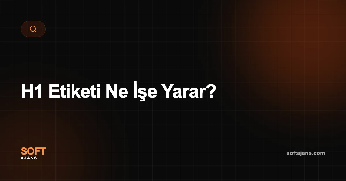 H1 Etiketi Ne İşe Yarar?