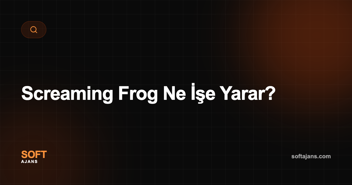 Screaming Frog Ne İşe Yarar?