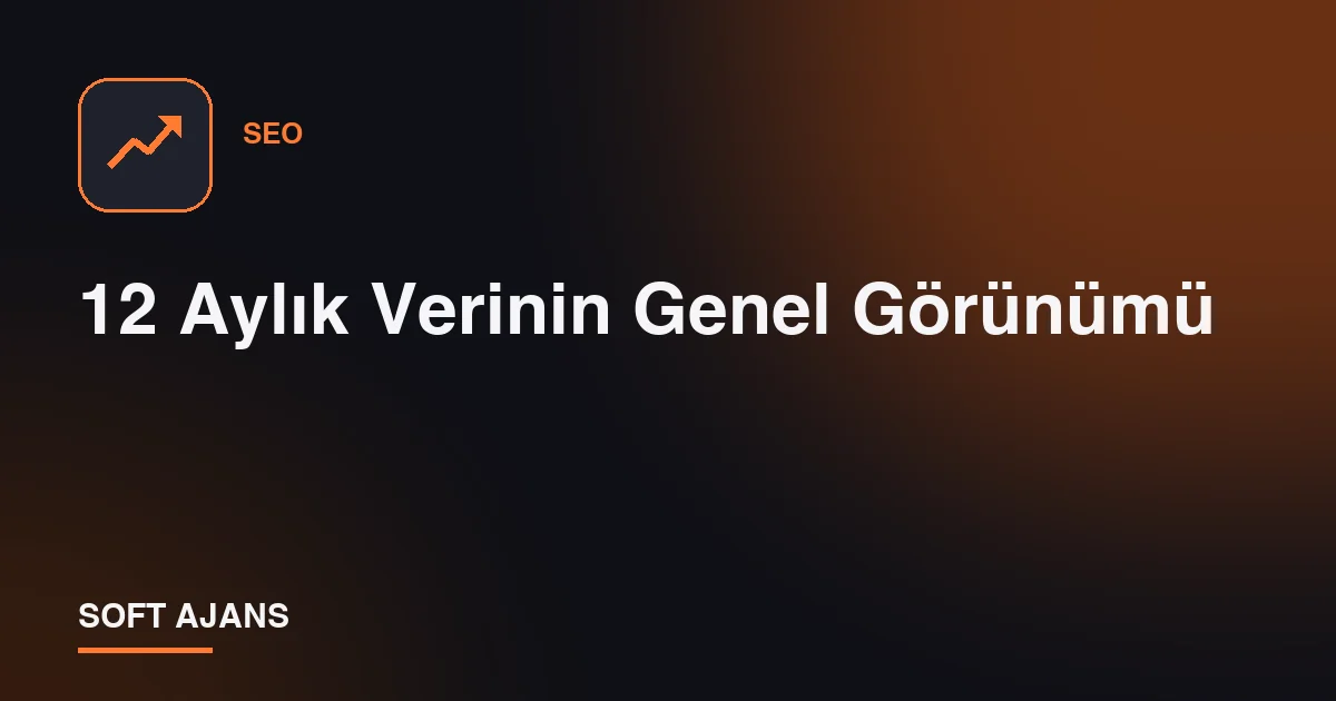 12 Aylık Verinin Genel Görünümü