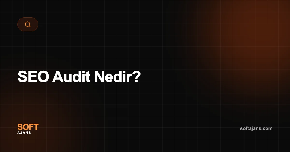 SEO Audit Nedir?