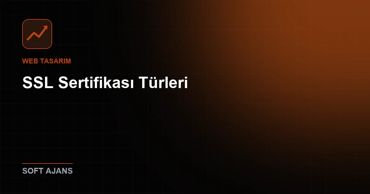 SSL Sertifikası Türleri