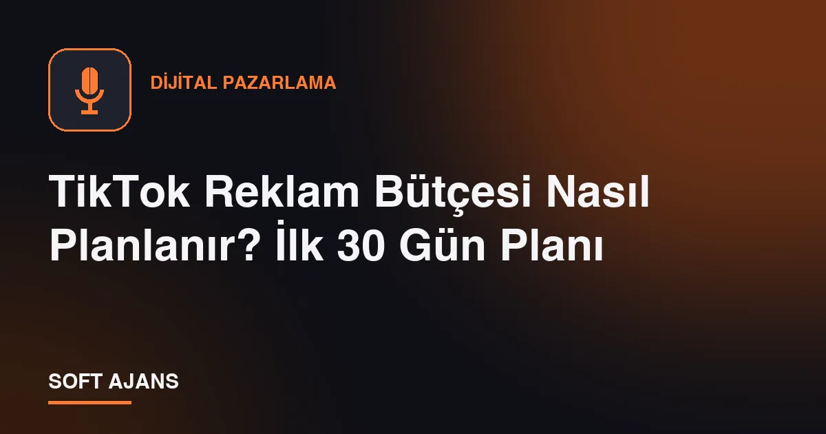 TikTok Reklam Bütçesi Nasıl Planlanır? İlk 30 Gün Planı
