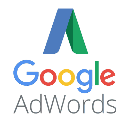 Google Reklam Pro Paket