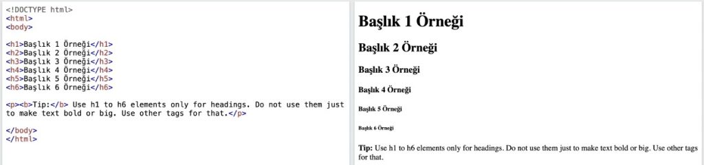 H1 Nedir? H1 Etiketi Nasıl Oluşturulur? SEO İçin Neden Önemlidir?