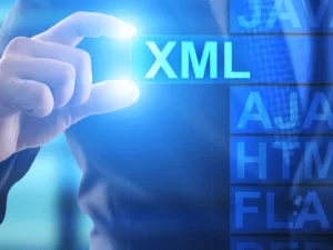 XML Bayilik Nedir